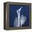 One Indigo Calla Lily-Albert Koetsier-Framed Stretched Canvas