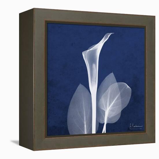 One Indigo Calla Lily-Albert Koetsier-Framed Stretched Canvas