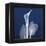 One Indigo Calla Lily-Albert Koetsier-Framed Stretched Canvas