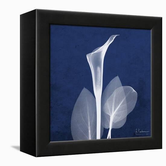 One Indigo Calla Lily-Albert Koetsier-Framed Stretched Canvas