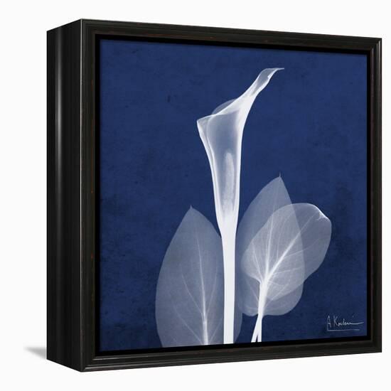 One Indigo Calla Lily-Albert Koetsier-Framed Stretched Canvas