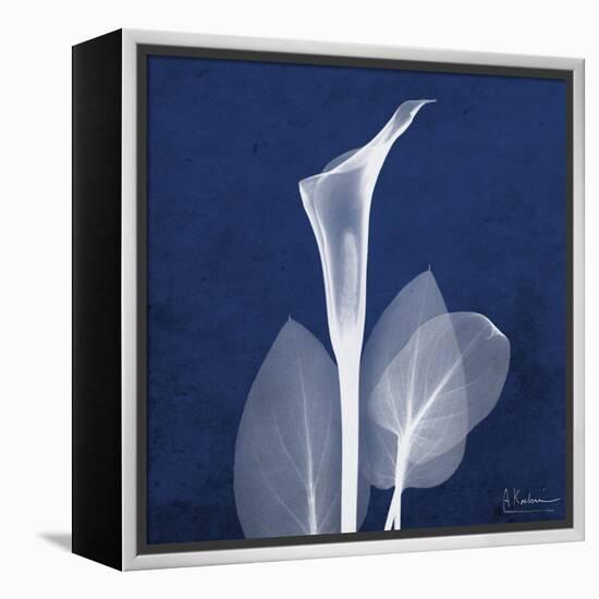 One Indigo Calla Lily-Albert Koetsier-Framed Stretched Canvas