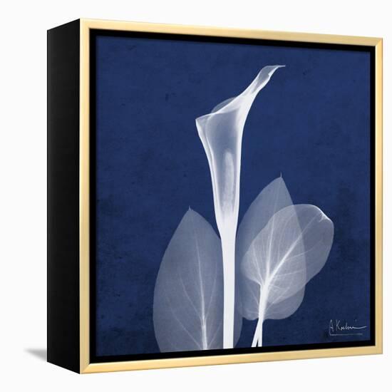 One Indigo Calla Lily-Albert Koetsier-Framed Stretched Canvas