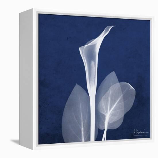 One Indigo Calla Lily-Albert Koetsier-Framed Stretched Canvas