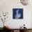 One Indigo Calla Lily-Albert Koetsier-Giclee Print displayed on a wall