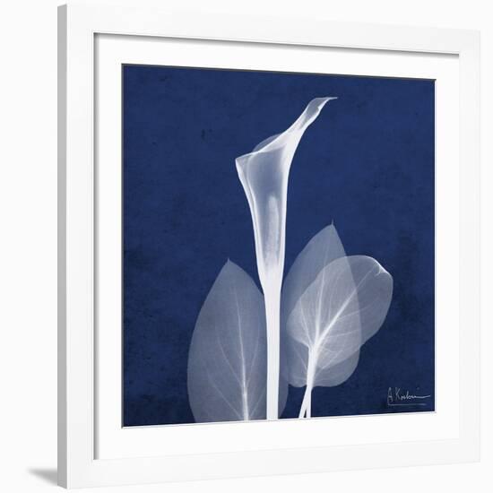 One Indigo Calla Lily-Albert Koetsier-Framed Giclee Print