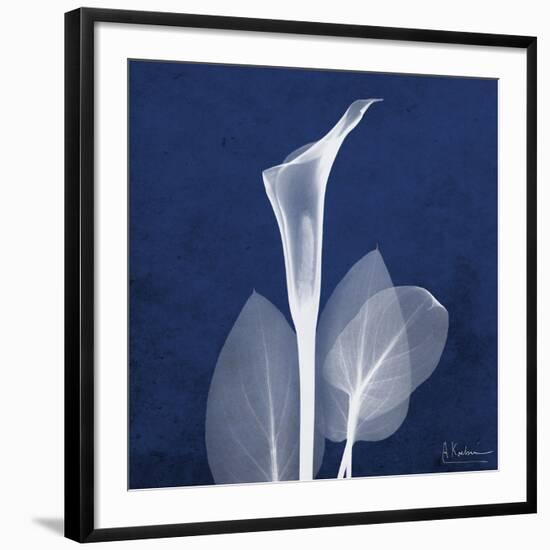 One Indigo Calla Lily-Albert Koetsier-Framed Giclee Print