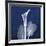 One Indigo Calla Lily-Albert Koetsier-Framed Giclee Print