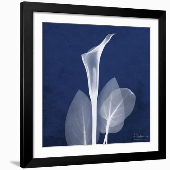 One Indigo Calla Lily-Albert Koetsier-Framed Giclee Print