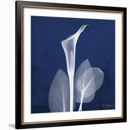 One Indigo Calla Lily-Albert Koetsier-Framed Giclee Print