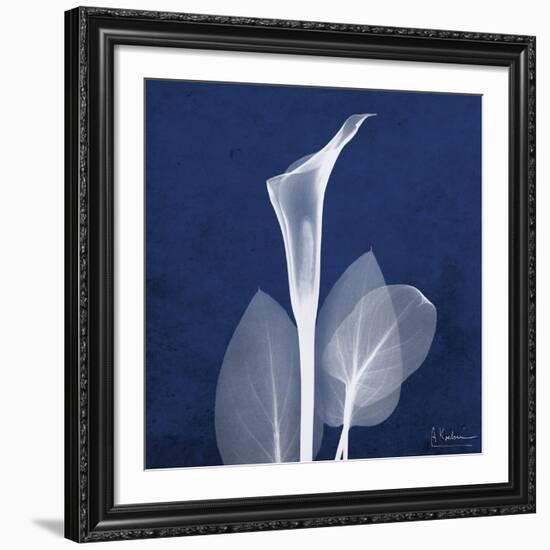 One Indigo Calla Lily-Albert Koetsier-Framed Giclee Print