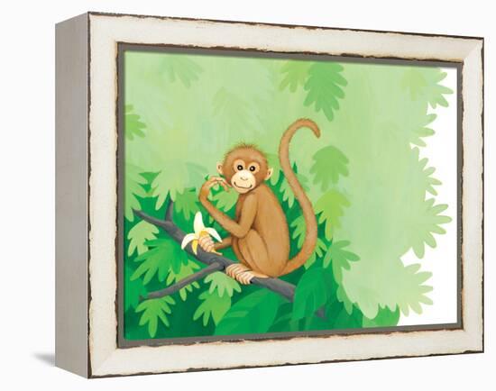 One Little Monkey - Turtle-Kathryn Mitter-Framed Premier Image Canvas