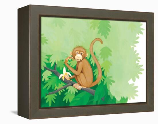 One Little Monkey - Turtle-Kathryn Mitter-Framed Premier Image Canvas