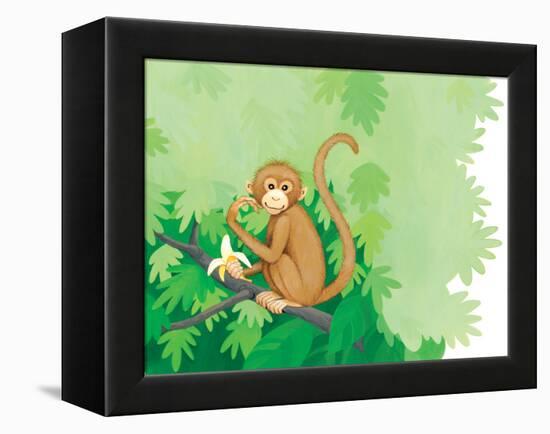 One Little Monkey - Turtle-Kathryn Mitter-Framed Premier Image Canvas