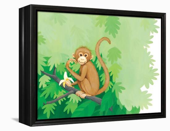 One Little Monkey - Turtle-Kathryn Mitter-Framed Premier Image Canvas