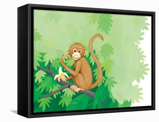 One Little Monkey - Turtle-Kathryn Mitter-Framed Premier Image Canvas