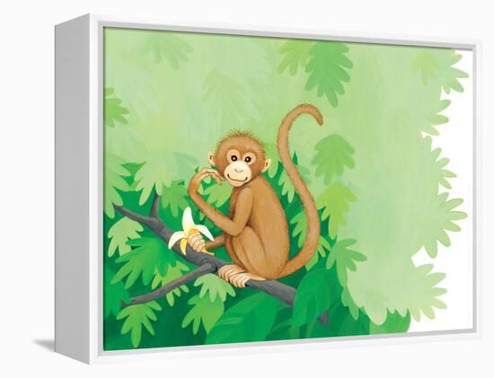 One Little Monkey - Turtle-Kathryn Mitter-Framed Premier Image Canvas