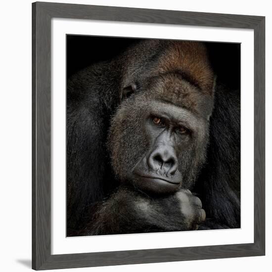 One Moment In Contact-Antje Wenner-Braun-Framed Giclee Print