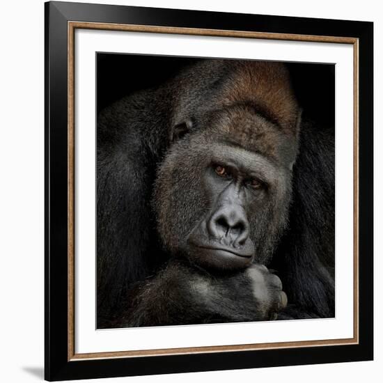 One Moment In Contact-Antje Wenner-Braun-Framed Giclee Print