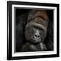 One Moment In Contact-Antje Wenner-Braun-Framed Giclee Print