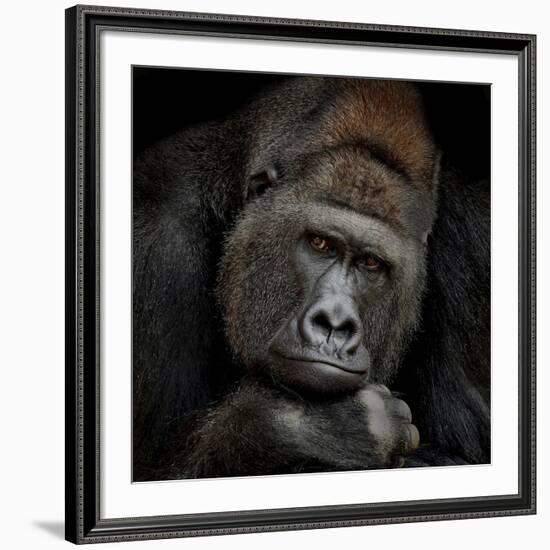 One Moment In Contact-Antje Wenner-Braun-Framed Giclee Print