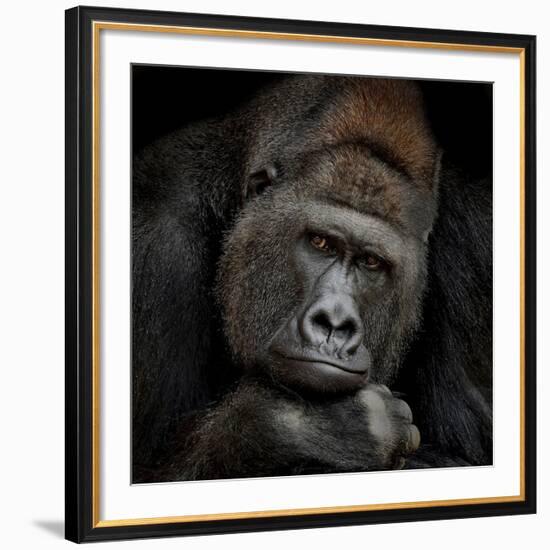 One Moment In Contact-Antje Wenner-Braun-Framed Giclee Print