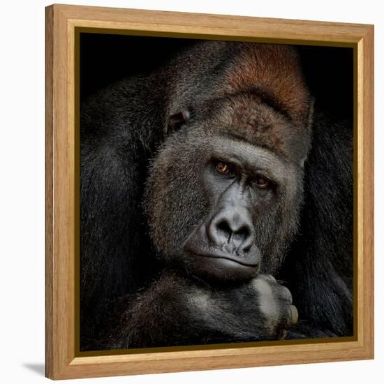 One Moment in Contact-Antje Wenner-Braun-Framed Premier Image Canvas