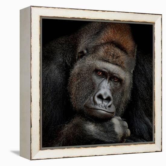 One Moment in Contact-Antje Wenner-Braun-Framed Premier Image Canvas