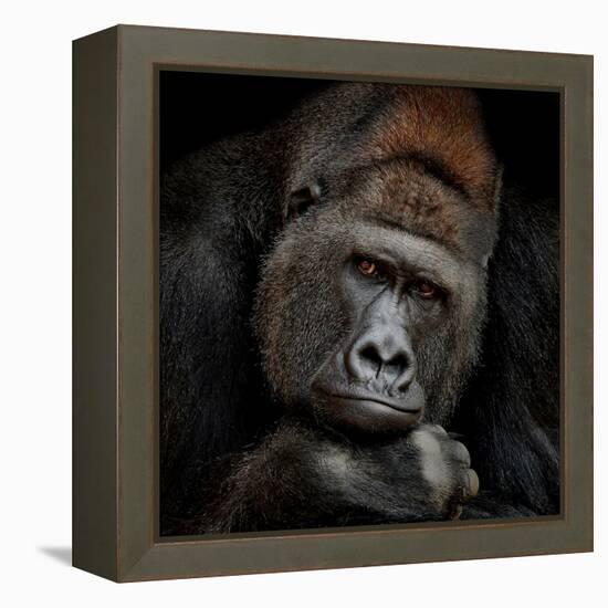 One Moment in Contact-Antje Wenner-Braun-Framed Premier Image Canvas