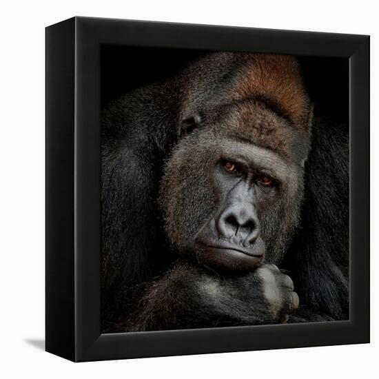 One Moment in Contact-Antje Wenner-Braun-Framed Premier Image Canvas