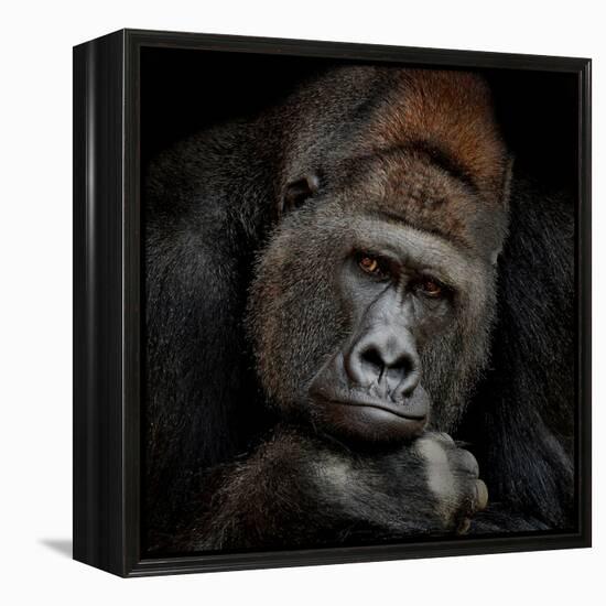 One Moment in Contact-Antje Wenner-Braun-Framed Premier Image Canvas