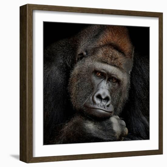 One Moment in Contact-Antje Wenner-Braun-Framed Photographic Print