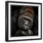One Moment in Contact-Antje Wenner-Braun-Framed Photographic Print