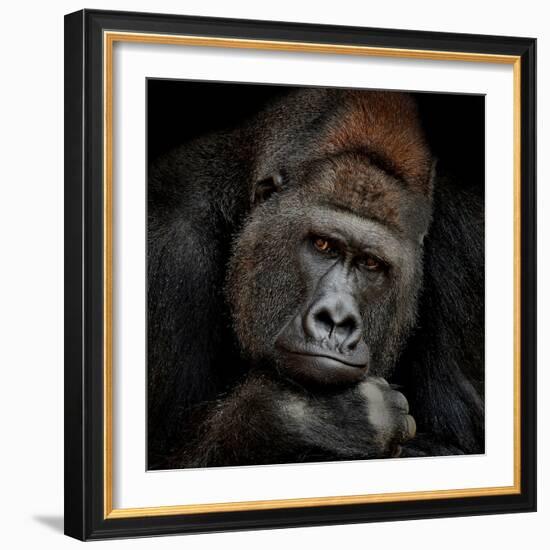 One Moment in Contact-Antje Wenner-Braun-Framed Photographic Print