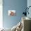 One Month Old Newborn Baby Girl-Amanda Hall-Photographic Print displayed on a wall