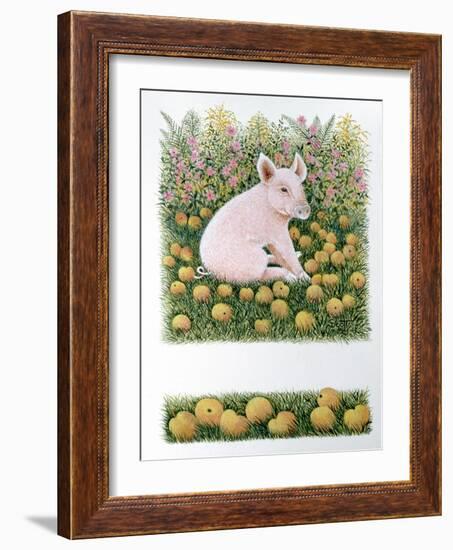 One More Apple-Pat Scott-Framed Giclee Print