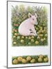 One More Apple-Pat Scott-Mounted Giclee Print