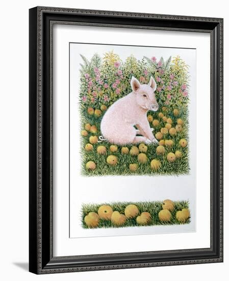 One More Apple-Pat Scott-Framed Giclee Print