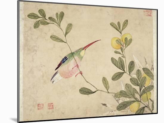 One of a Series of Paintings of Birds and Fruit, Late 19th Century-Wang Guochen-Mounted Giclee Print