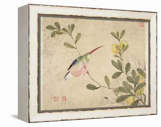 One of a Series of Paintings of Birds and Fruit, Late 19th Century-Wang Guochen-Framed Premier Image Canvas