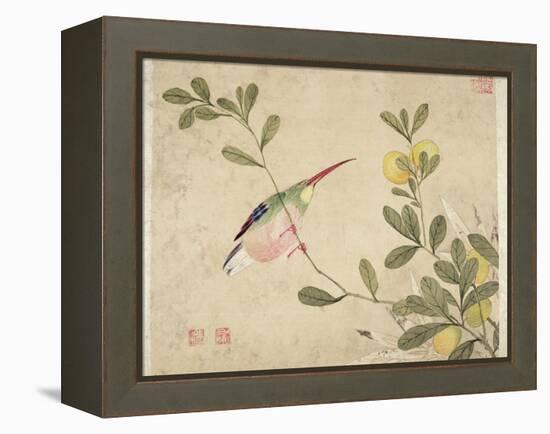 One of a Series of Paintings of Birds and Fruit, Late 19th Century-Wang Guochen-Framed Premier Image Canvas