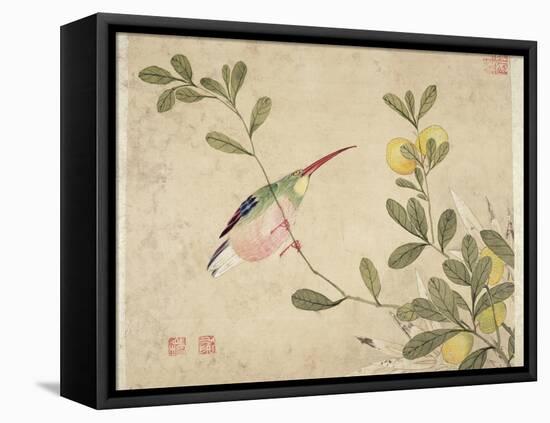 One of a Series of Paintings of Birds and Fruit, Late 19th Century-Wang Guochen-Framed Premier Image Canvas