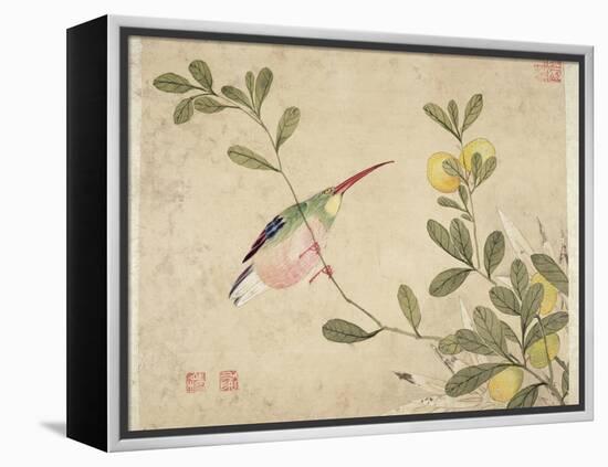 One of a Series of Paintings of Birds and Fruit, Late 19th Century-Wang Guochen-Framed Premier Image Canvas