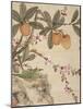 One of a Series of Paintings of Birds and Fruit, Late 19th Century-Wang Guochen-Mounted Giclee Print