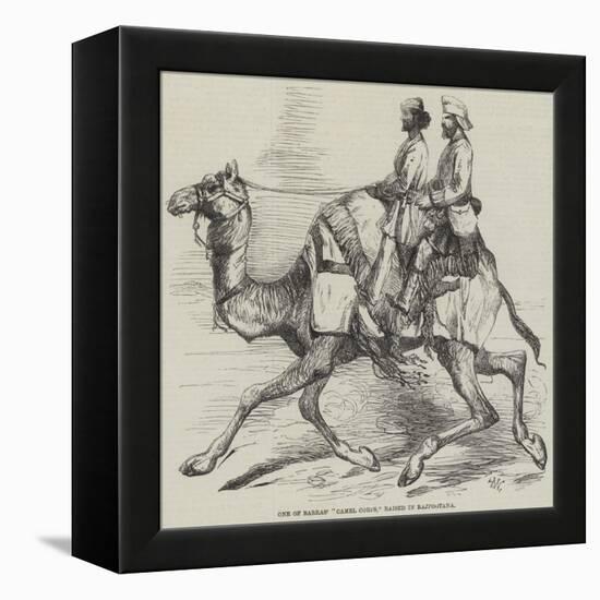 One of Barras' Camel Corps, Raised in Rajpootana-Harrison William Weir-Framed Premier Image Canvas