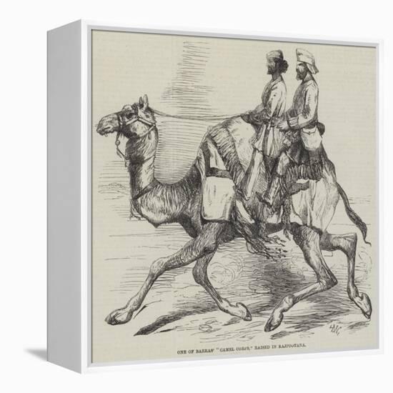 One of Barras' Camel Corps, Raised in Rajpootana-Harrison William Weir-Framed Premier Image Canvas