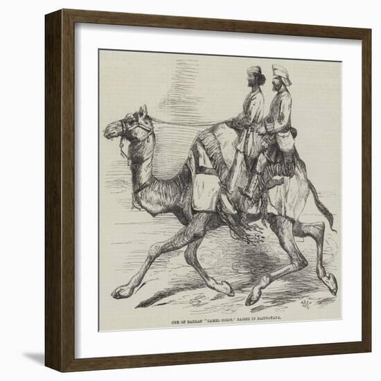 One of Barras' Camel Corps, Raised in Rajpootana-Harrison William Weir-Framed Giclee Print