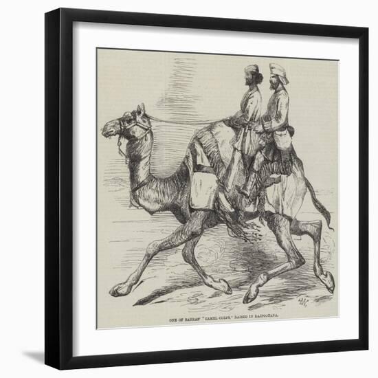 One of Barras' Camel Corps, Raised in Rajpootana-Harrison William Weir-Framed Giclee Print