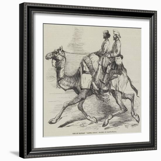 One of Barras' Camel Corps, Raised in Rajpootana-Harrison William Weir-Framed Giclee Print