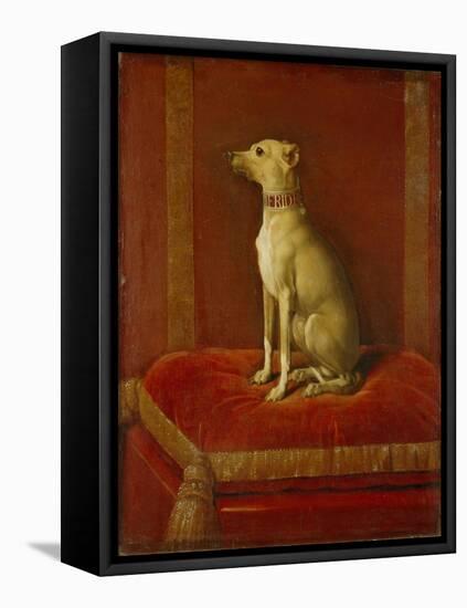 One of Frederick Ii's Italian Greyhounds-German School-Framed Premier Image Canvas